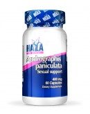 HAYA LABS Andrographis Paniculata 400 mg / 60 Caps.