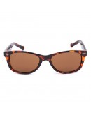 Men's Sunglasses Converse SCO09152TORT (ø 52 mm)