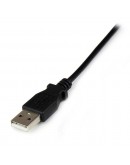 USB Cable Startech USB2TYPEN2M          Extension