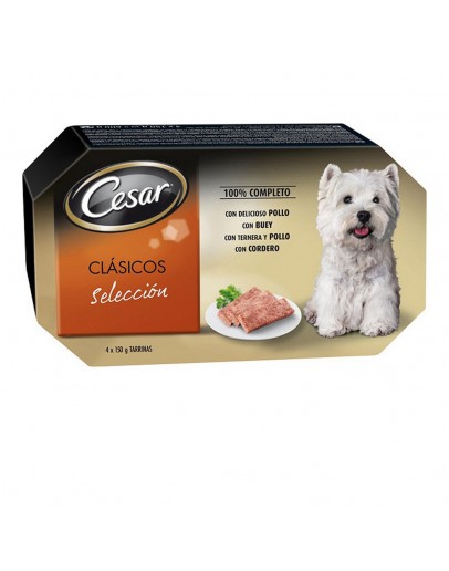 Wet food Cesar (4 x 150 g)