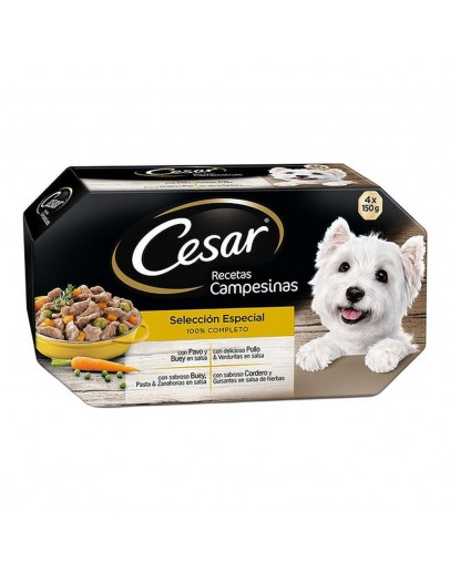 Wet food Cesar (4 x 150 g)