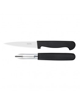 Knife Set Amefa Polypro (2 pcs)