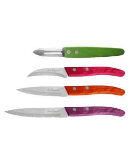 Knife Set Amefa Forest Color (4 pcs)