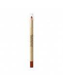 Lip Liner Pencil Colour Elixir Max Factor Nº 025 Brown n Bold (10 g)