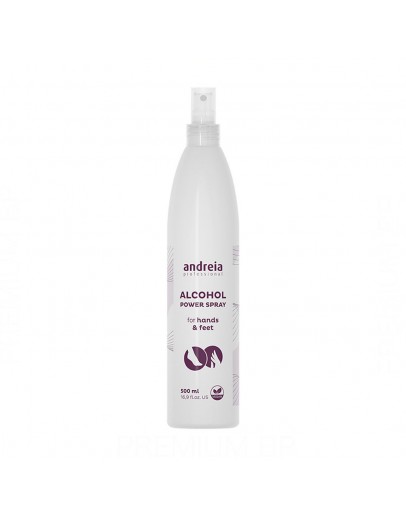 Disinfectant Power Spray Andreia (500 ml)