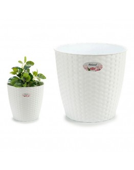 Plant pot White