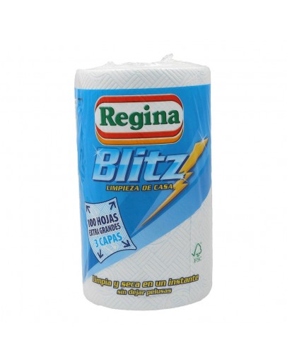 Kitchen Paper Regina Blitz Premium