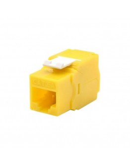 Category 6 UTP RJ45 Connector WP