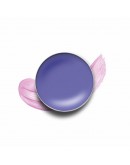 Blush Camaleon Cosmetics Magic Blush (Refurbished A+)