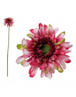 Decorative Flower Chrysanthemum 114530