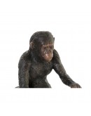 Decorative Figure DKD Home Decor Resin Monkey (32 x 14 x 31 cm)