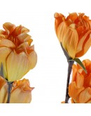 Decorative Flower Dekodonia EVA (Ethylvynilacetate) (2 pcs)