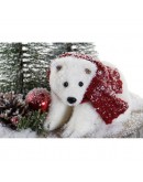 Decorative Figure DKD Home Decor Christmas Fir Bear (20 x 20 x 24 cm)