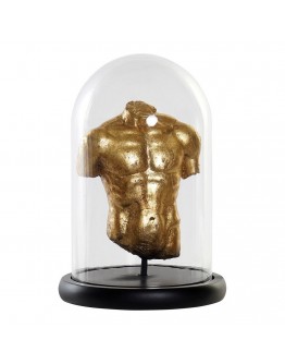 Decorative Figure DKD Home Decor Bust Golden Resin MDF Wood (17 x 17 x 26 cm)