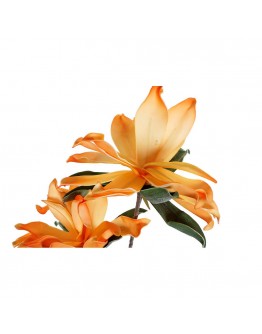 Decorative Flowers DKD Home Decor Yellow Orange EVA (Ethylvynilacetate) (2 pcs)