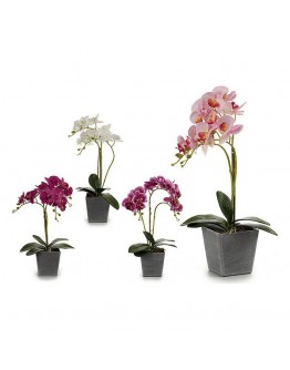 Decorative Flowers Orchid Plastic Plant pot Grey (18 x 53 x 28 cm)