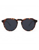 Unisex Sunglasses Warwick X Hawkers W18X04