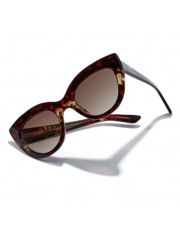 Ladies'Sunglasses Hyde Hawkers Dark brown