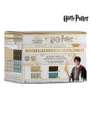 Hygienic Face Mask Harry Potter (24 uds)