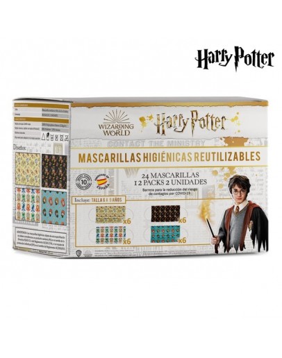 Hygienic Face Mask Harry Potter (24 uds)