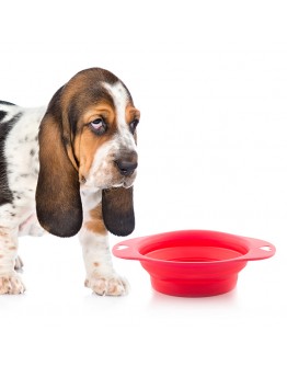 Folding Pet Bowl Heart