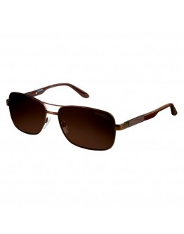 Men's Sunglasses Carrera 8018-S-TVL-SP