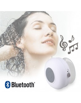 Waterproof Bluetooth Speaker