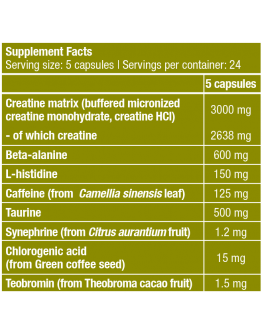 Multi Component Creatine Formula BIOTECH USA Creasyn / 120 capsules