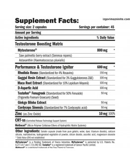 Testosterone booster AMIX MytoTest V3 / 90 Caps.