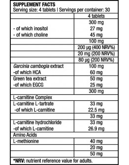 Fat Burning BIOTECH USA Super Fat Burner 120 Tablets