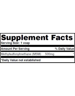 Stable recovery HAYA LABS MSM 500mg. / 180 caps