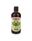 CVETITA HERBAL TRIBULUS + GINKGO