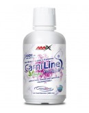 AMIX CarniLine ® ProActive 480 ml.