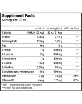 Liquid Amino Acids BIOTECH USA Liquid BCAA 1000 ml.