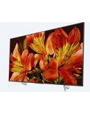 TV, Sony KD-55XF8596 55" 4K HDR TV BRAVIA Triluminos, Edge LED, Android TV, USB, Black